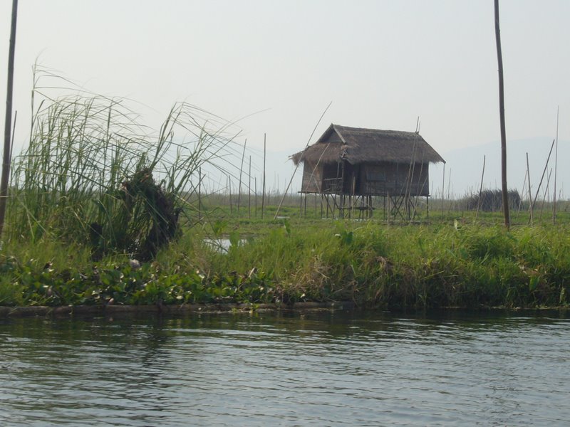 Travel - Myanmar - Inle Lake - First Boat Trip - The boat-drivers village - Into the village